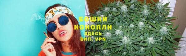ПСИЛОЦИБИНОВЫЕ ГРИБЫ Абдулино