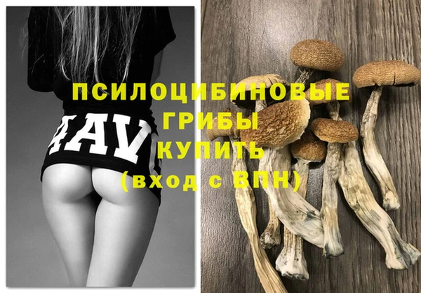 гашик Абинск