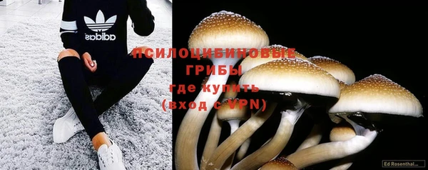 ПСИЛОЦИБИНОВЫЕ ГРИБЫ Абдулино