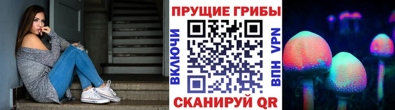 Галлюциногенные грибы ЛСД дарнет шоп Жердевка
